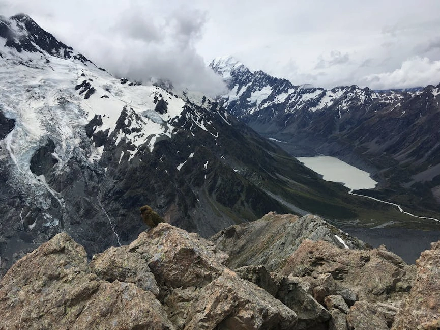 Erimekte olan bir buzulun havadan görünümü